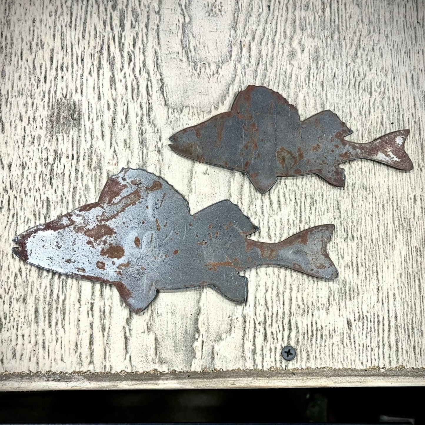 DISCOUNTED - Steel Walleyes - 2 - Pack - defect - walleye - Northern Forge, LLC
