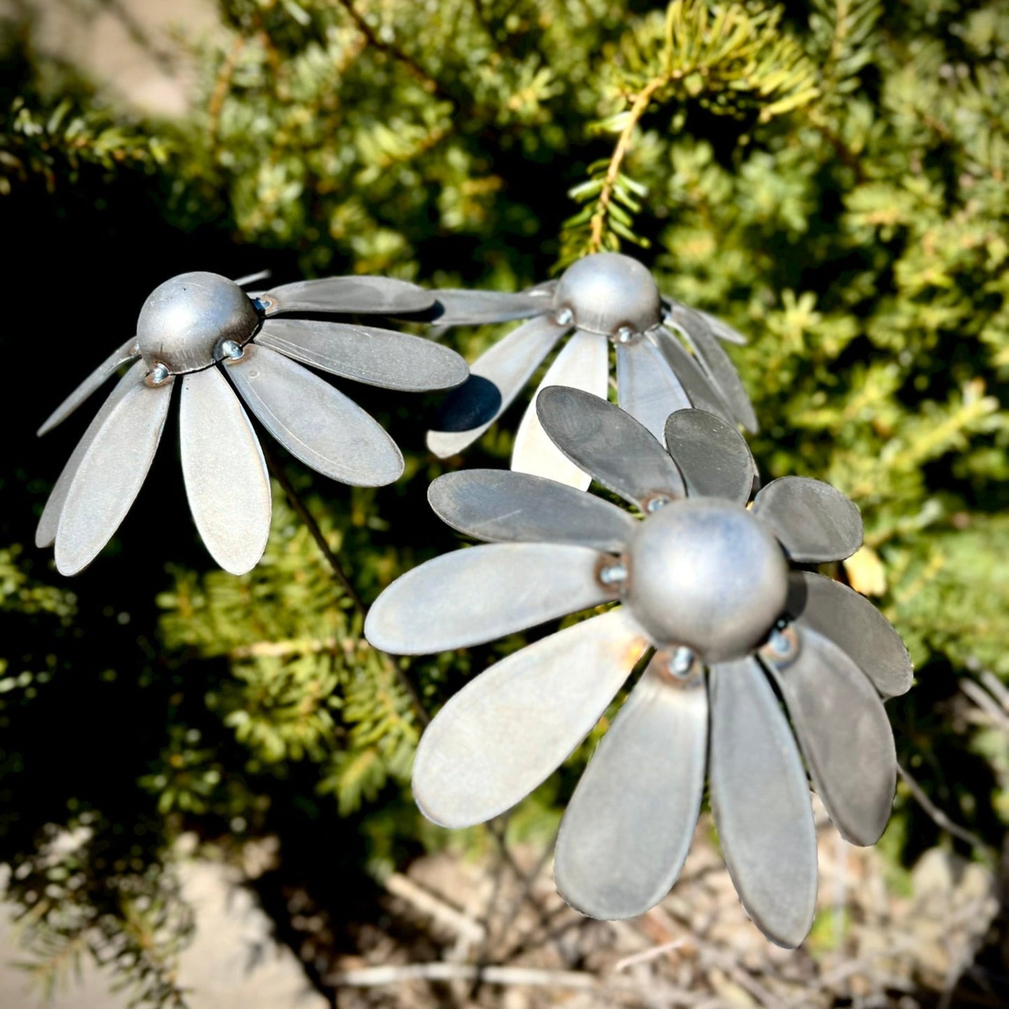 Metal Black - eyed Susan Flowers - black eyed susan yard art - black - eyed susan flowers - Northern Forge, LLC