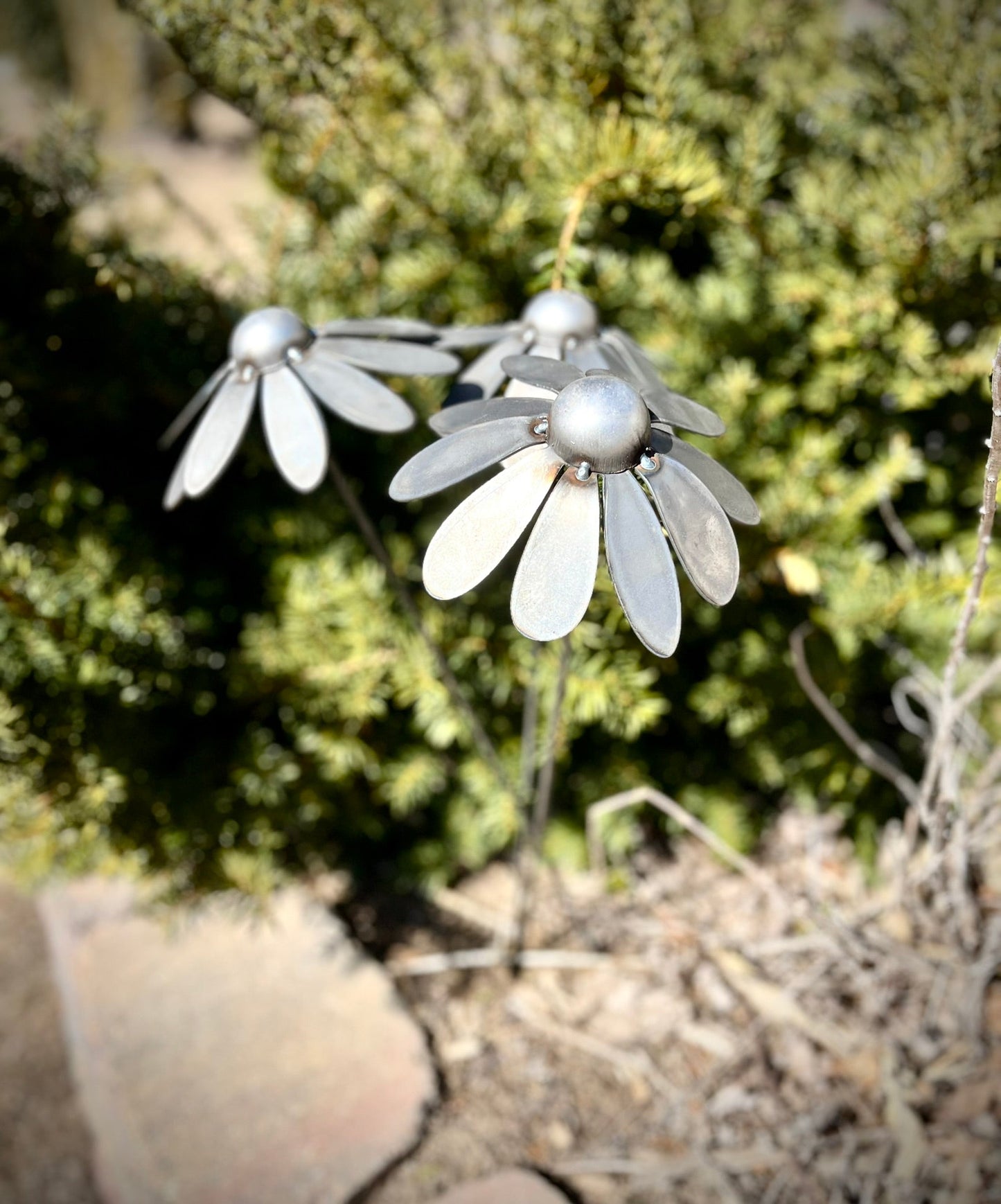 Metal Black - eyed Susan Flowers - black eyed susan yard art - black - eyed susan flowers - Northern Forge, LLC