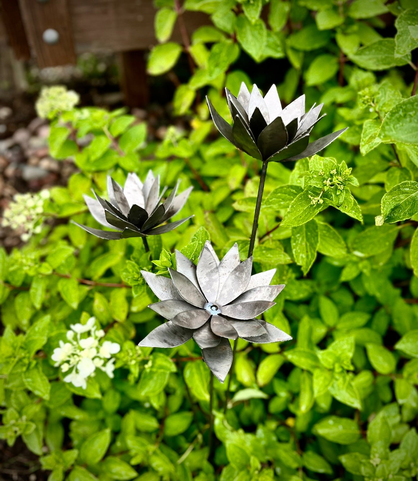 Metal Lotus Flowers - garden - garden art - Northern Forge, LLC