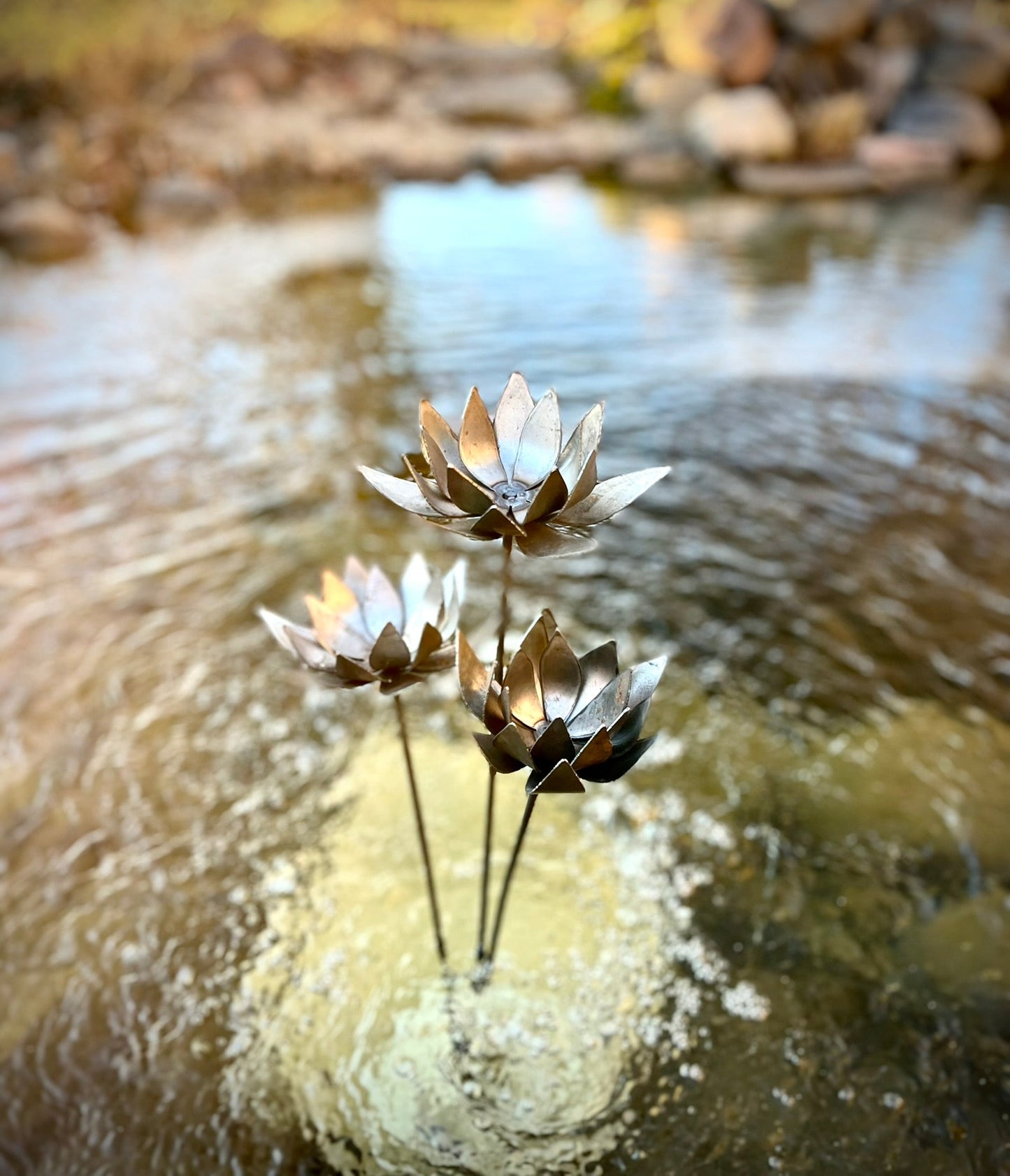 Metal Lotus Flowers - garden - garden art - Northern Forge, LLC