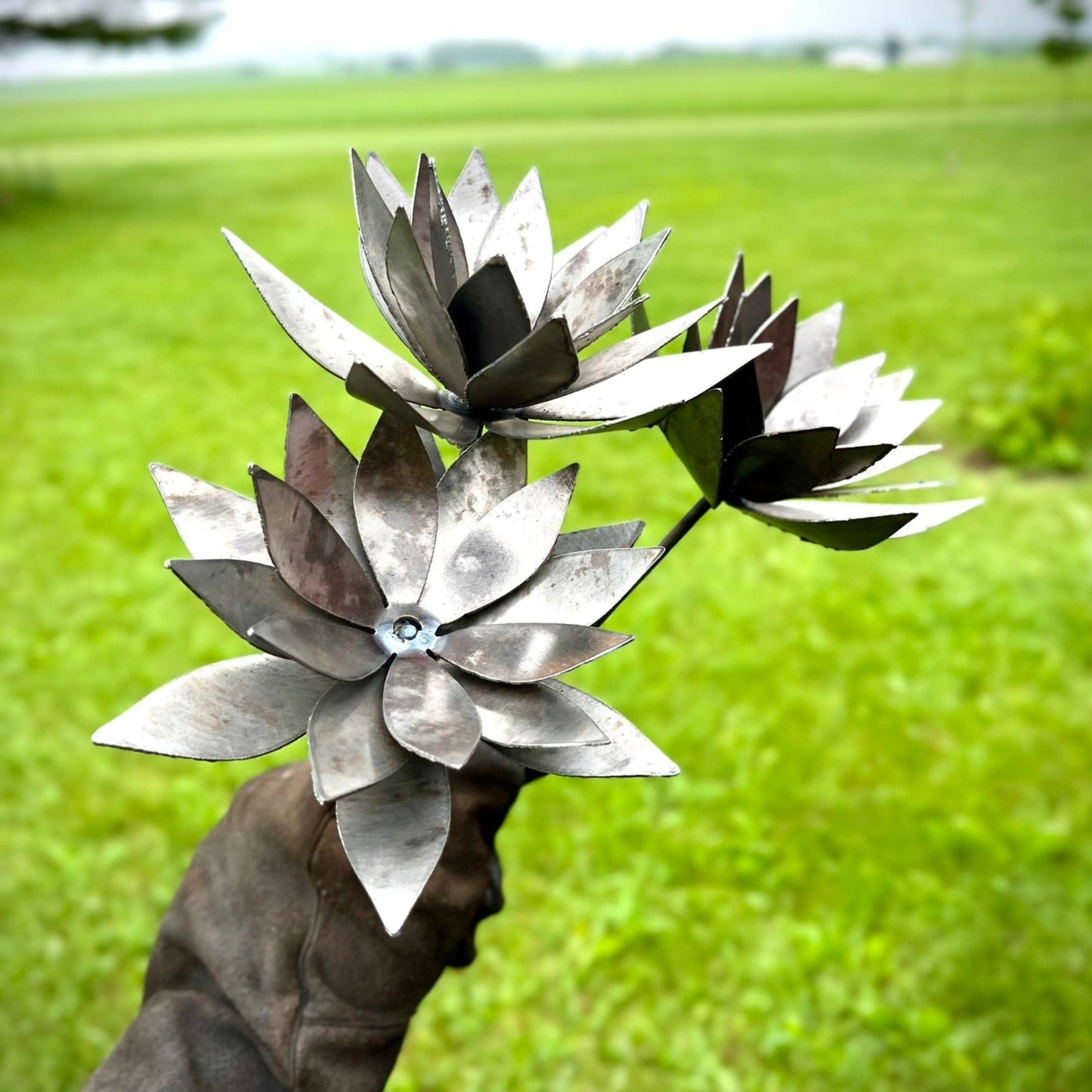 Metal Lotus Flowers - garden - garden art - Northern Forge, LLC