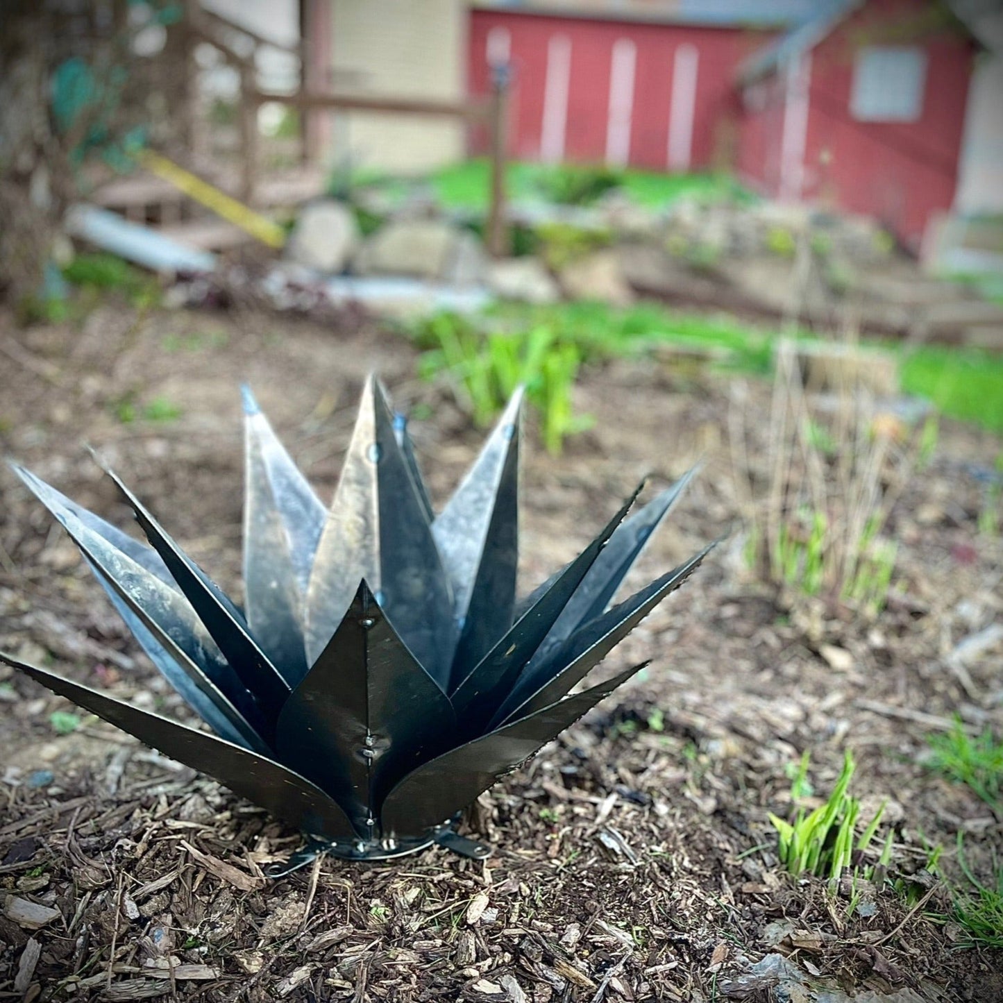 Steel Agave Plant - garden - garden art - Northern Forge, LLC