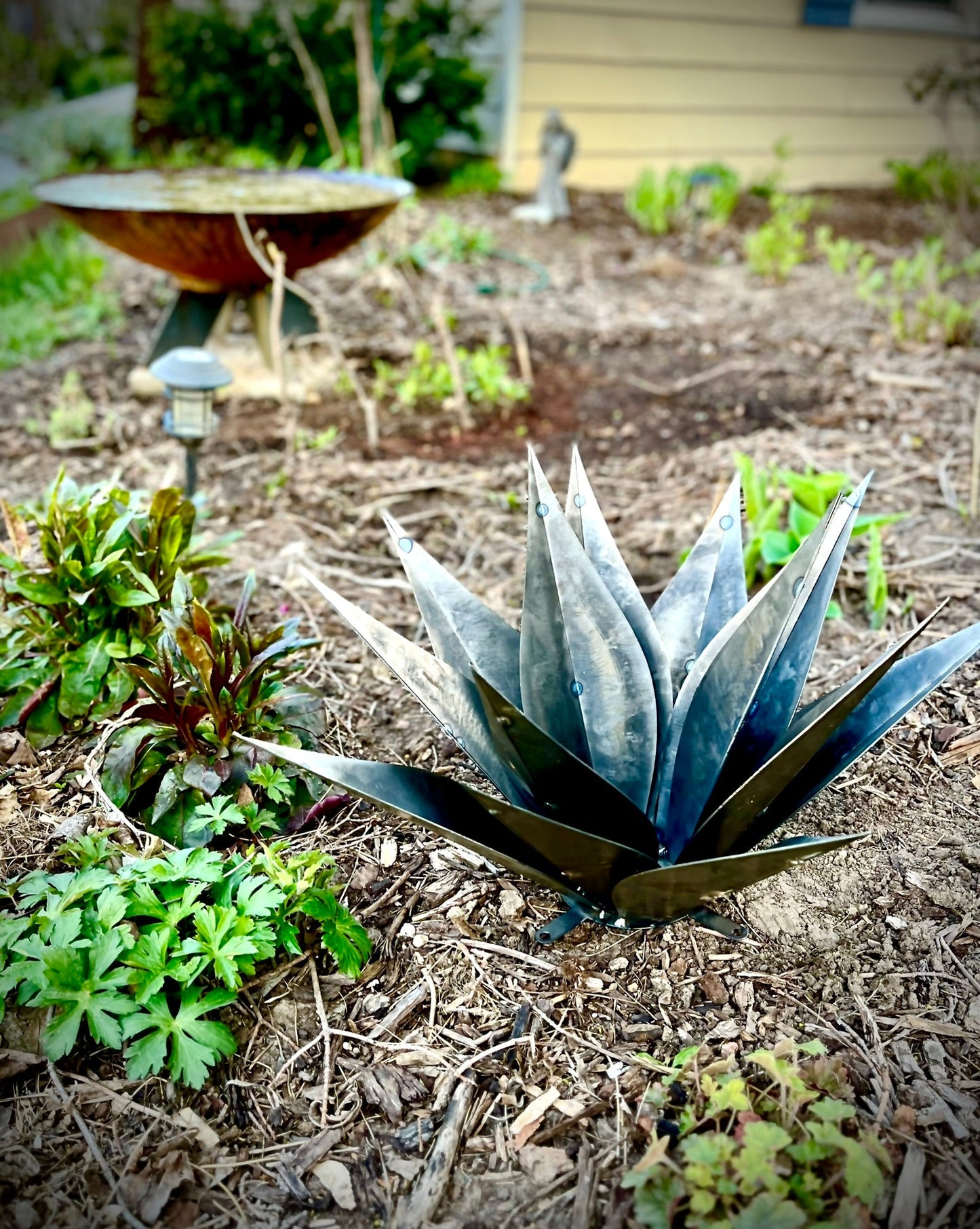 Steel Agave Plant - garden - garden art - Northern Forge, LLC