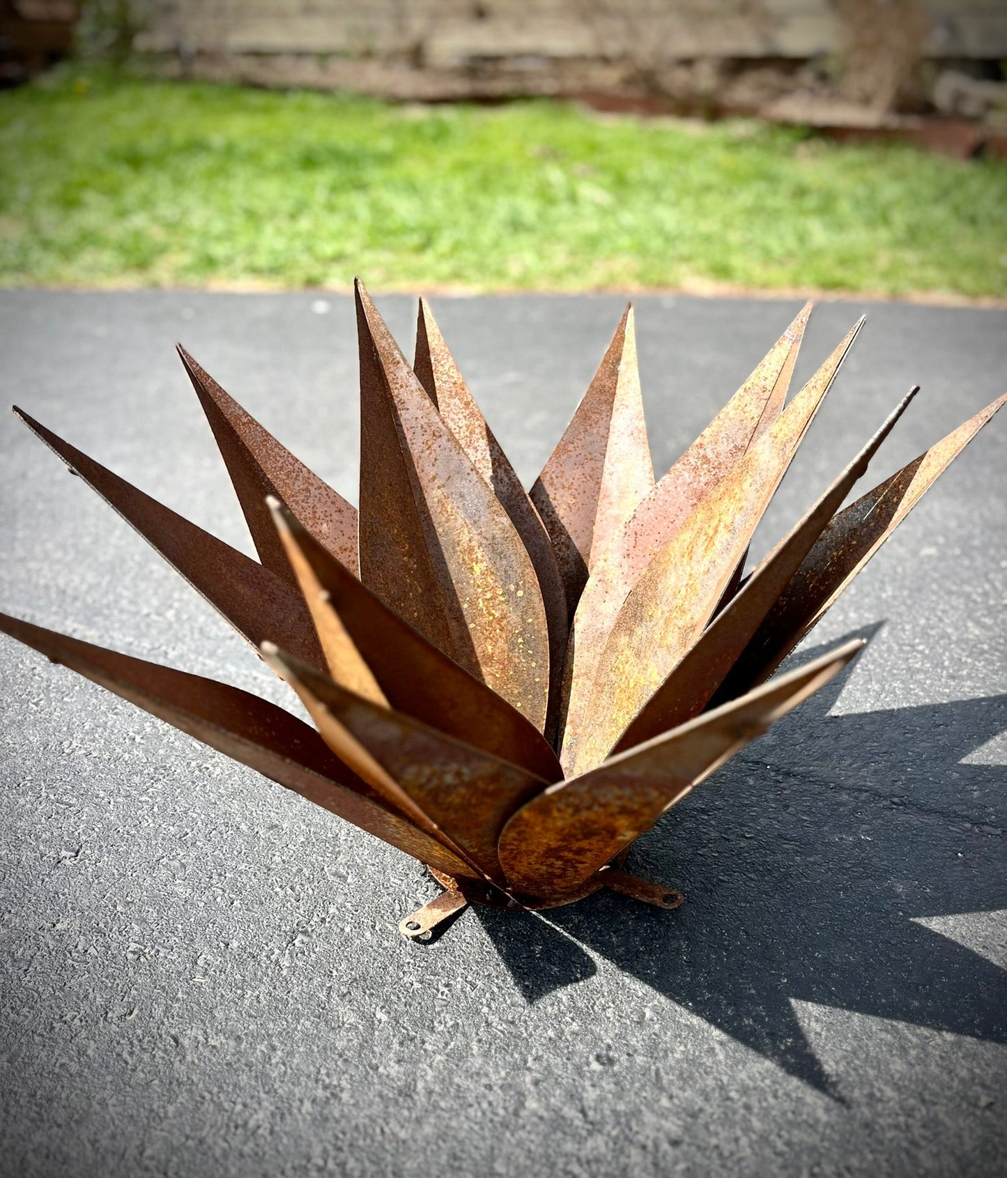 Steel Agave Plant - garden - garden art - Northern Forge, LLC