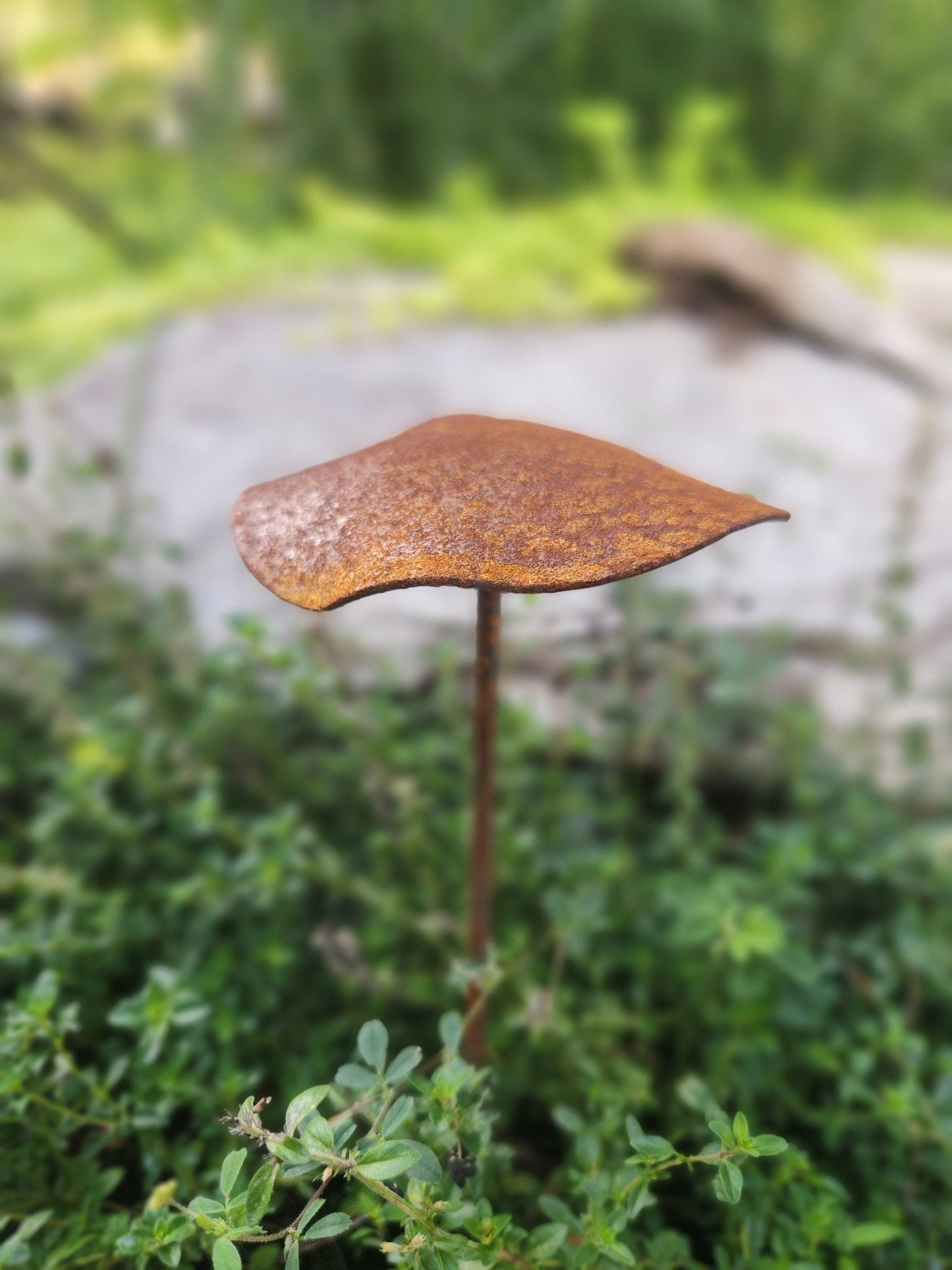 3-Pack Rusty Metal Lotus Seed Pods - garden - home - Northern Forge, LLC