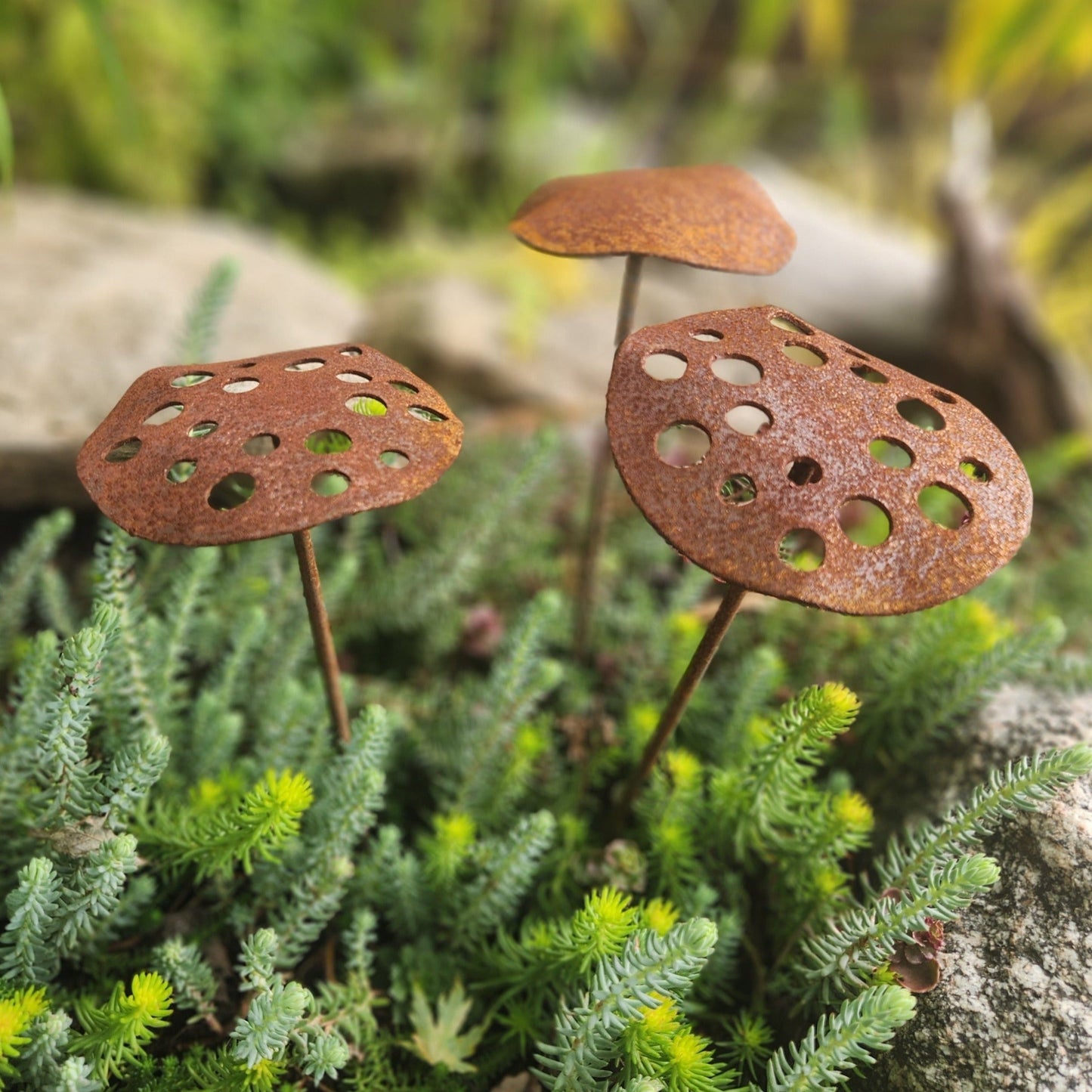 3-Pack Rusty Metal Lotus Seed Pods - garden - home - Northern Forge, LLC
