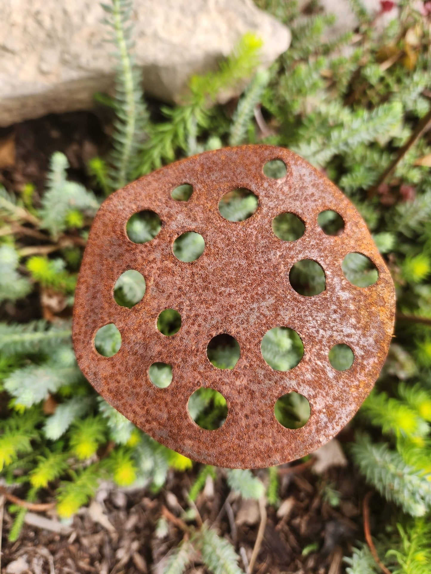 3-Pack Rusty Metal Lotus Seed Pods - garden - home - Northern Forge, LLC