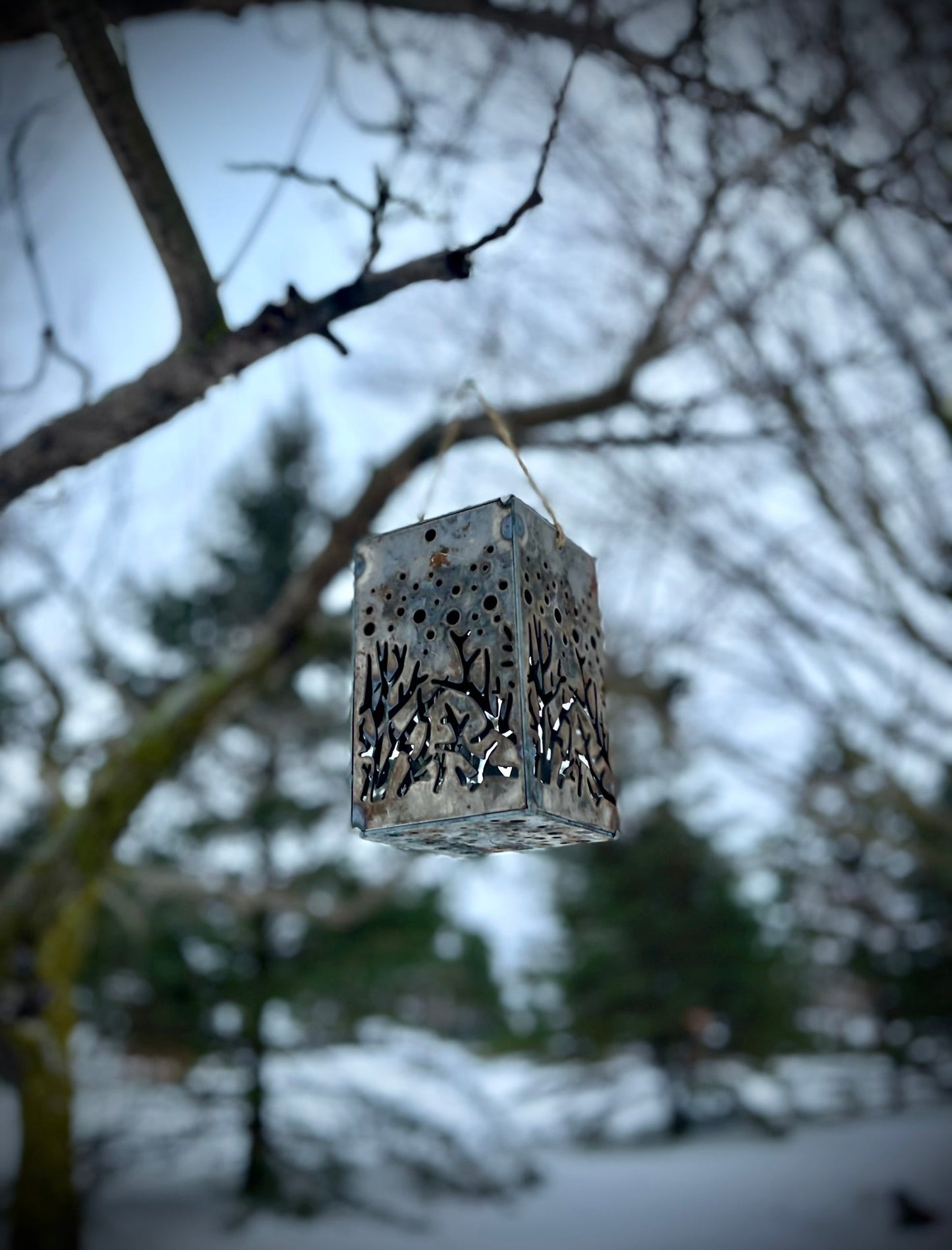 Hanging Starry Forest Steel Solar Cube | 6.5 in. - accent lights - hanging solar light - Northern Forge, LLC
