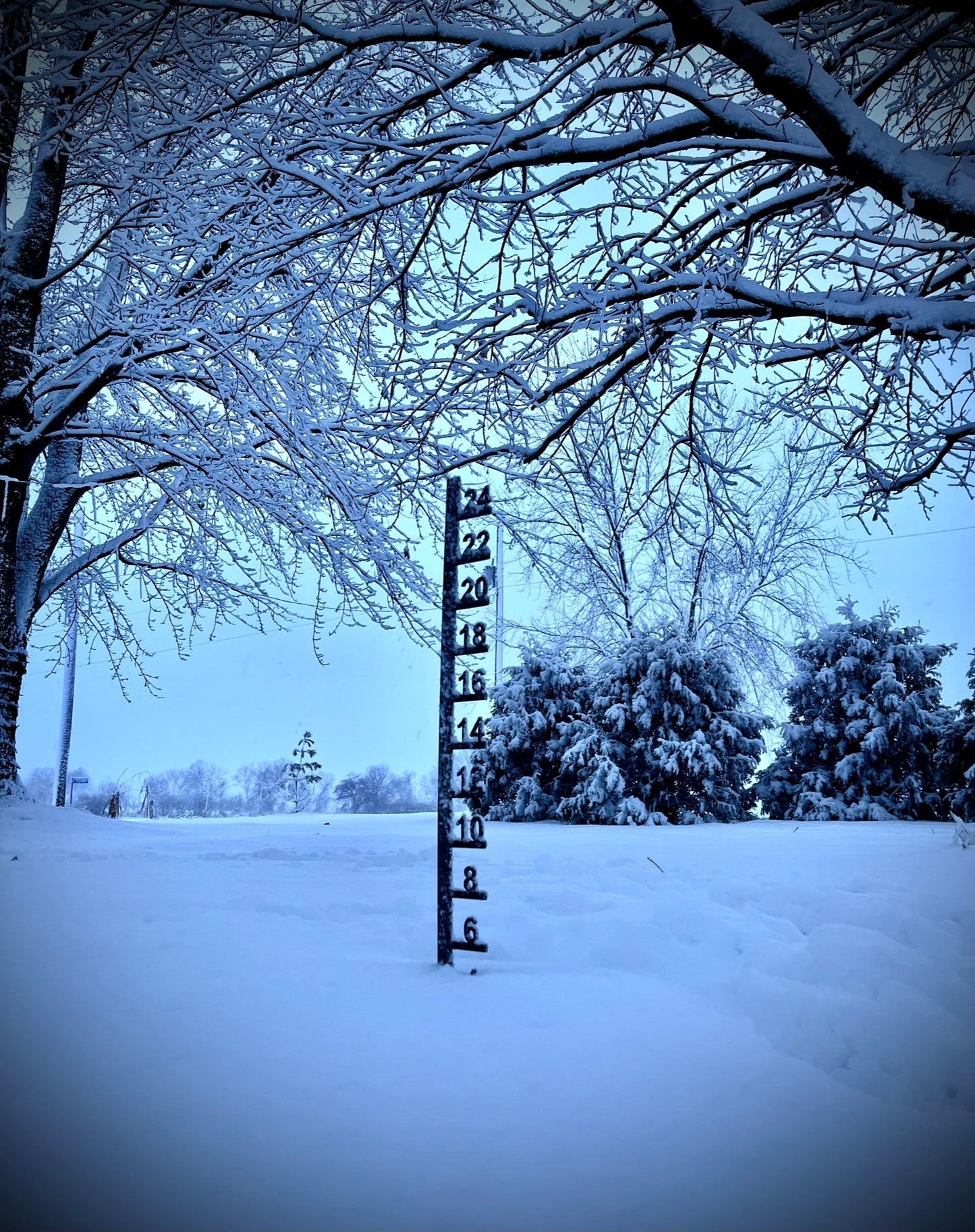 Simple Steel Snow Gauge - 12-inch, 24-inch, 36-inch - 36-inch Snow Gauge - Metal Snow Gauge - Northern Forge, LLC