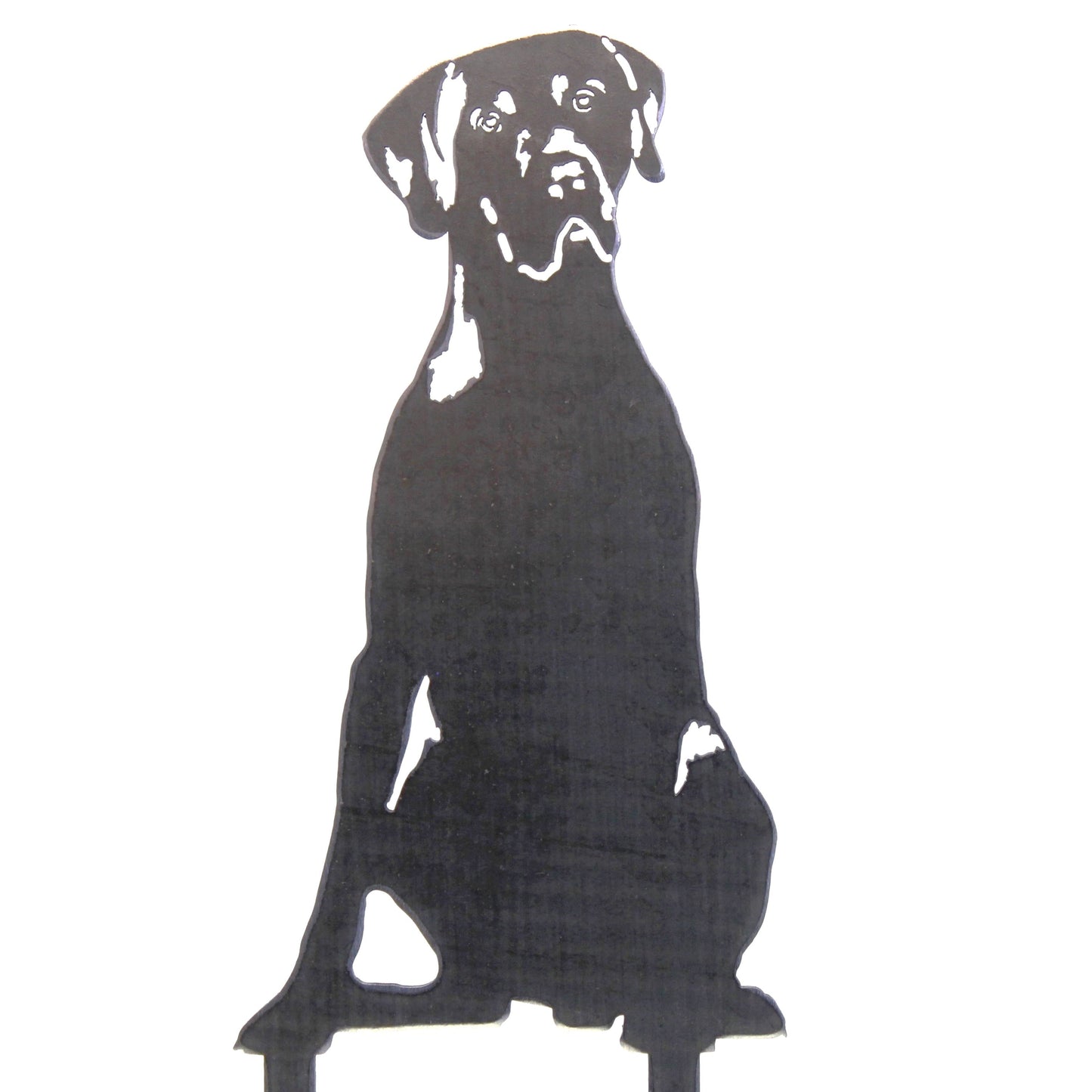 Weimaraner Metal Art – Handcrafted Dog Décor