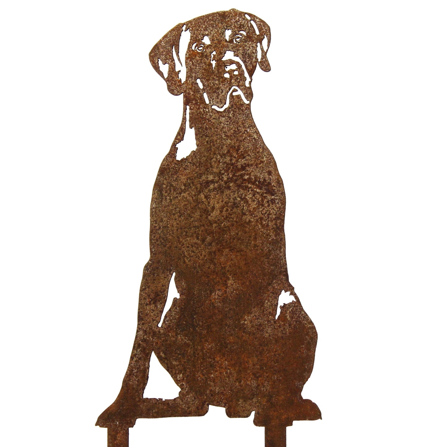 Weimaraner Metal Art – Handcrafted Dog Décor