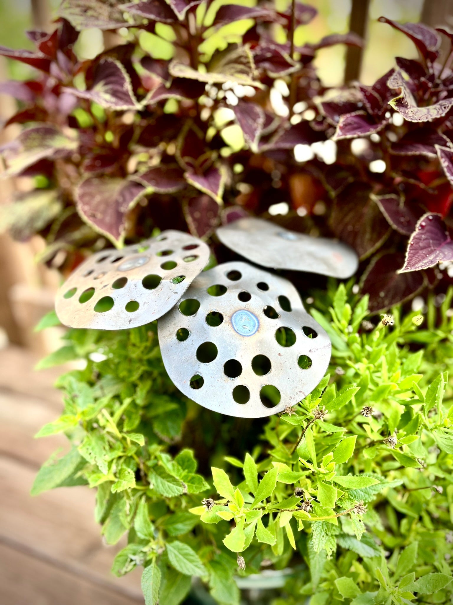 seed pod garden 3-Pack Metal Lotus Seed Pod Garden Stakes Raw Steel