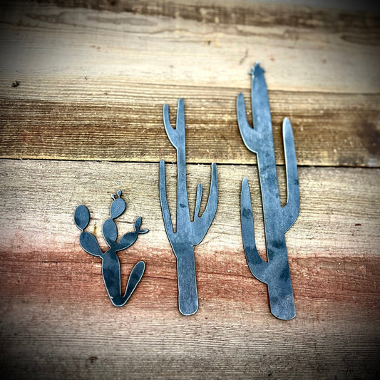 FREE GIFT - 3-Pack Raw Steel Cacti