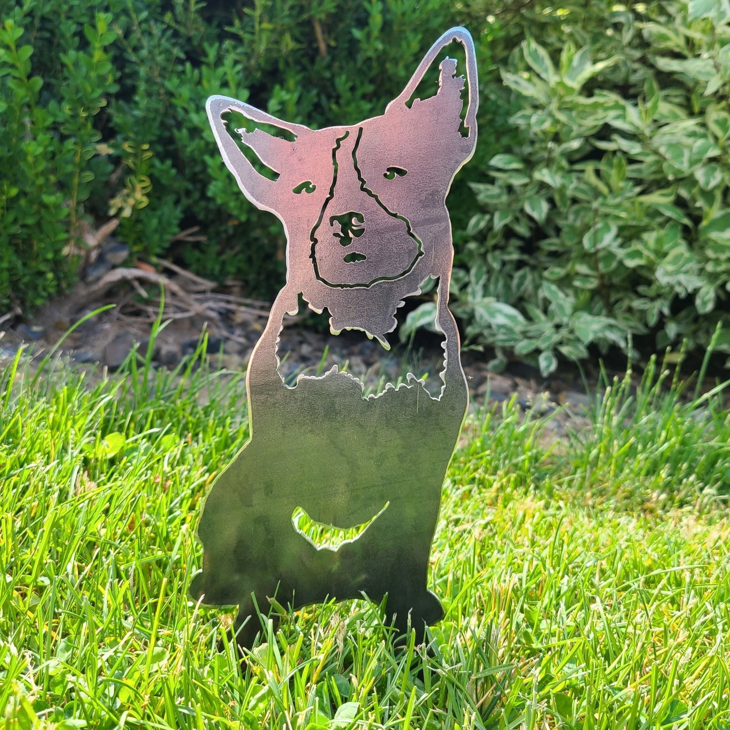 Australian Cattle Dog Metal Art – Handcrafted Dog Décor - My Metal Rescue - Shopify Collective - Northern Forge, LLC