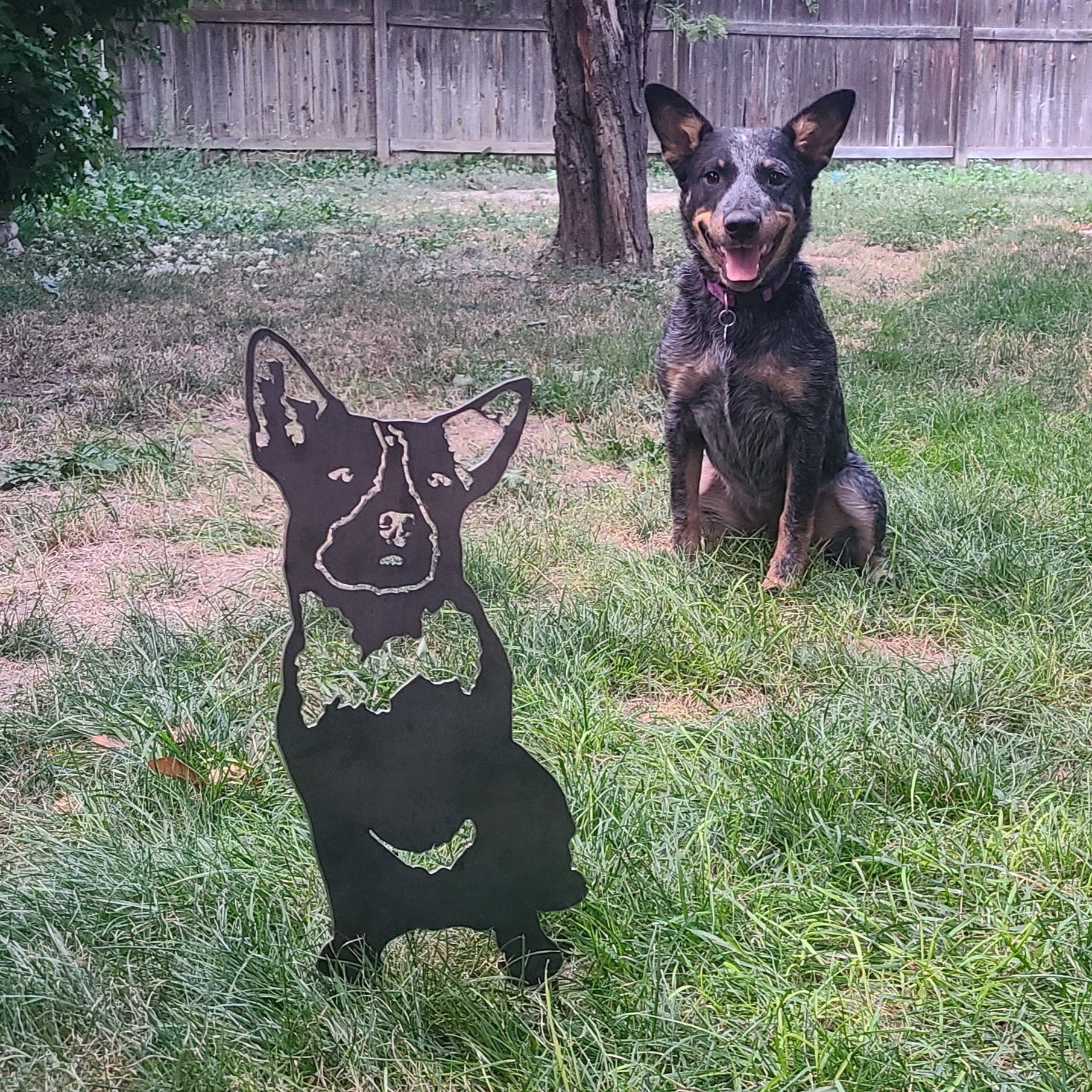 Australian Cattle Dog Metal Art – Handcrafted Dog Décor - My Metal Rescue - Shopify Collective - Northern Forge, LLC