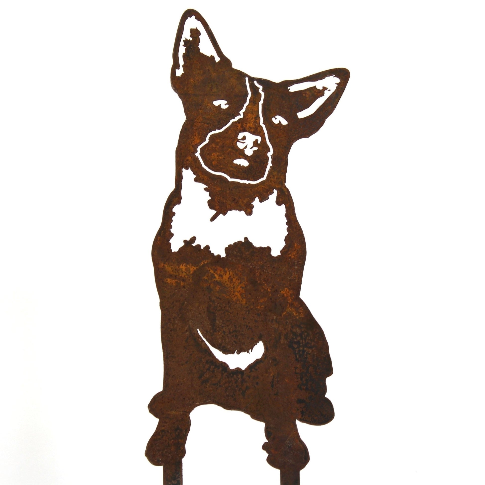 Australian Cattle Dog Metal Art – Handcrafted Dog Décor - My Metal Rescue - Shopify Collective - Northern Forge, LLC