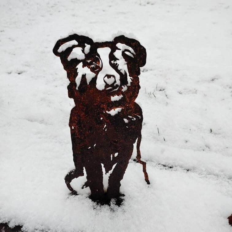 Australian Shepherd Metal Art – Handcrafted Dog Décor - My Metal Rescue - Shopify Collective - Northern Forge, LLC