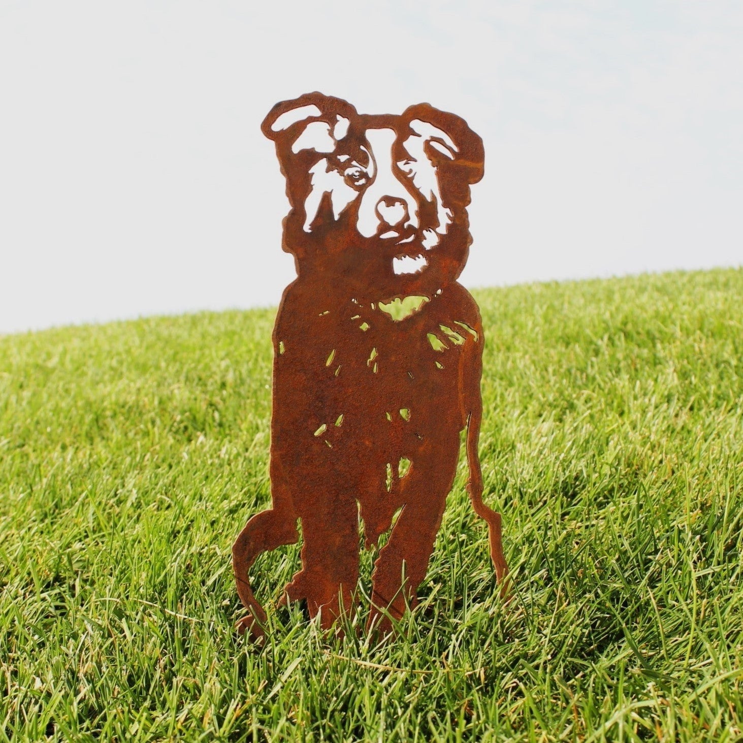 Australian Shepherd Metal Art – Handcrafted Dog Décor - My Metal Rescue - Shopify Collective - Northern Forge, LLC
