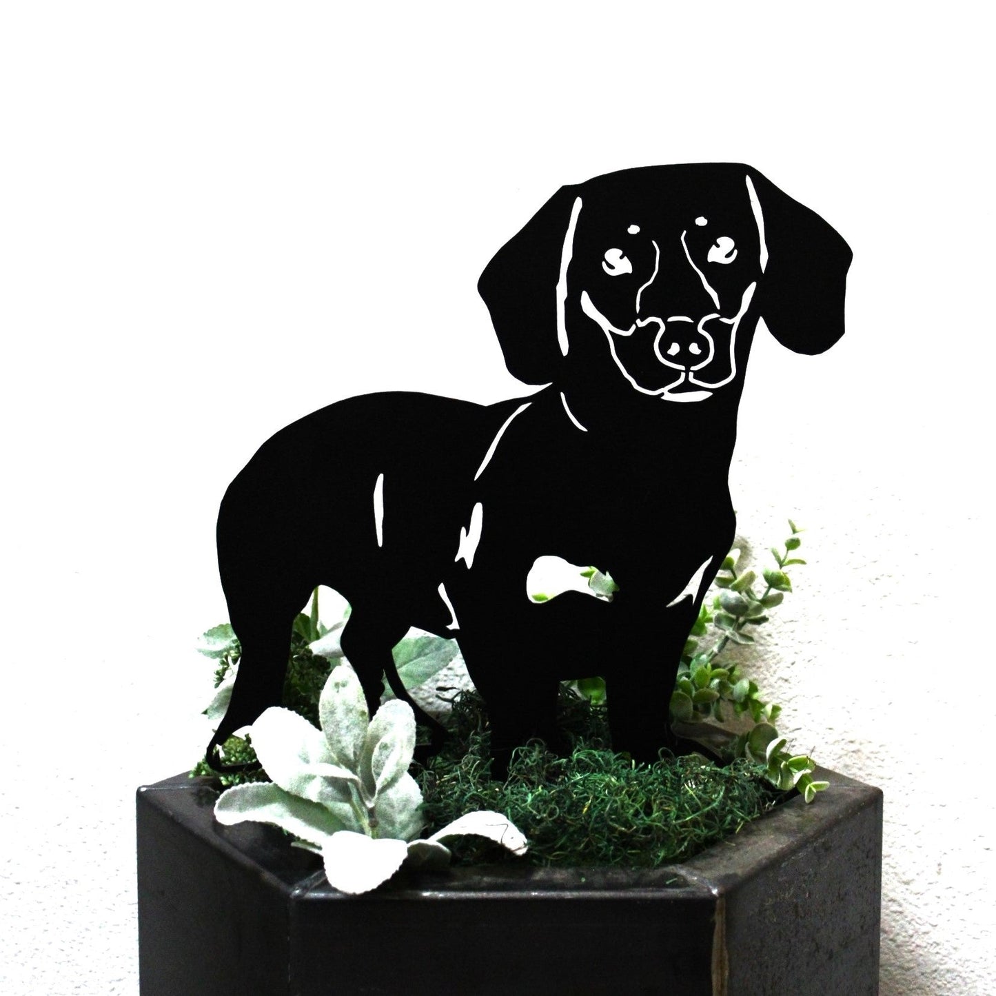 Dachshund - Shorthaired - Metal Art – Handcrafted Dog Décor - My Metal Rescue - Shopify Collective - Northern Forge, LLC