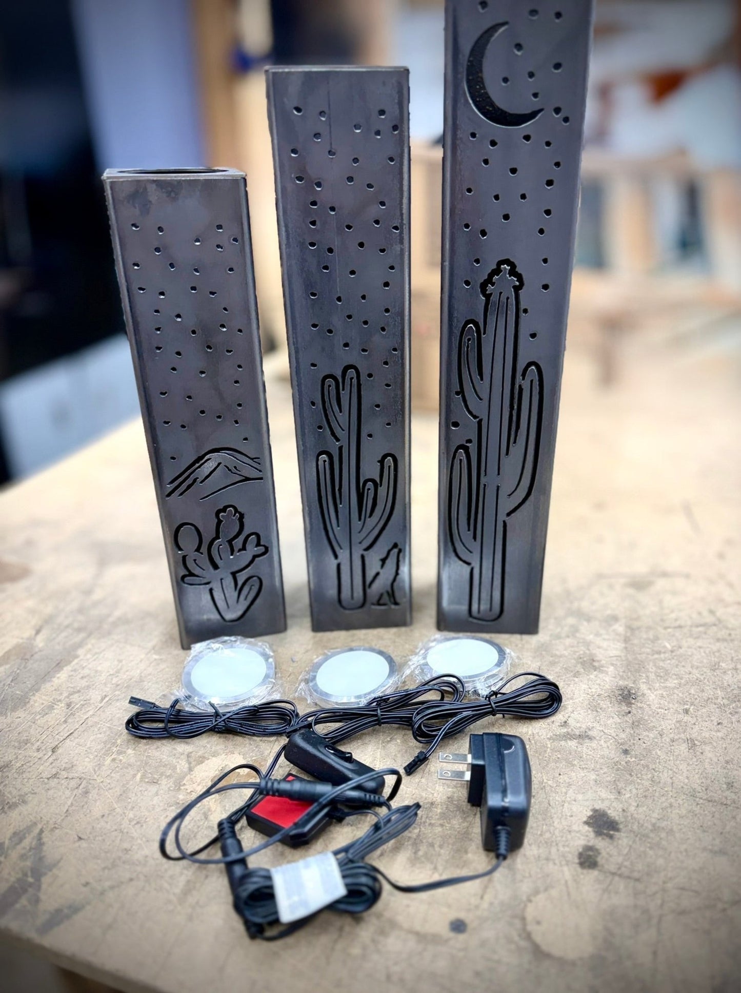 Desert Night Indoor Luminary | Multiple Sizes - cactus lights - desert accent lights - Northern Forge, LLC