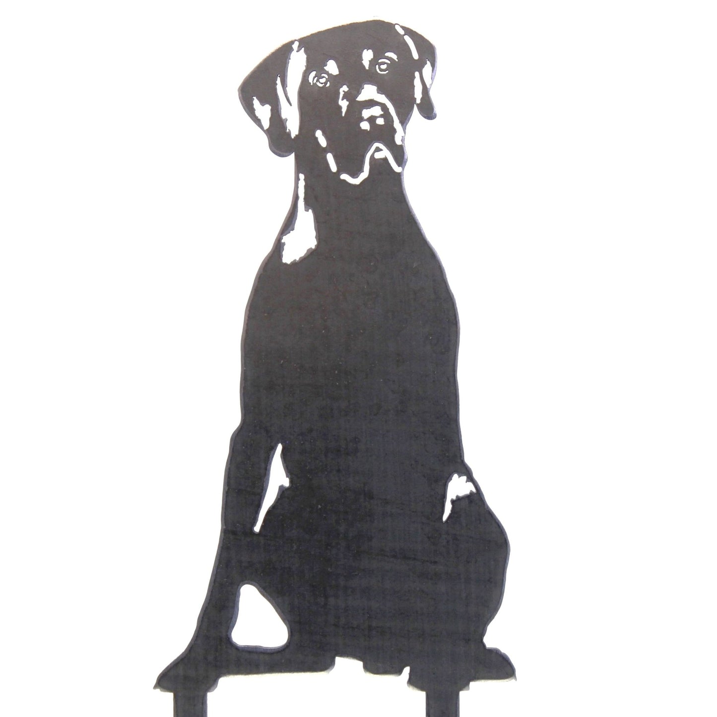 German Shorthaired Pointer Metal Art – Handcrafted Dog Décor - My Metal Rescue - Shopify Collective - Northern Forge, LLC