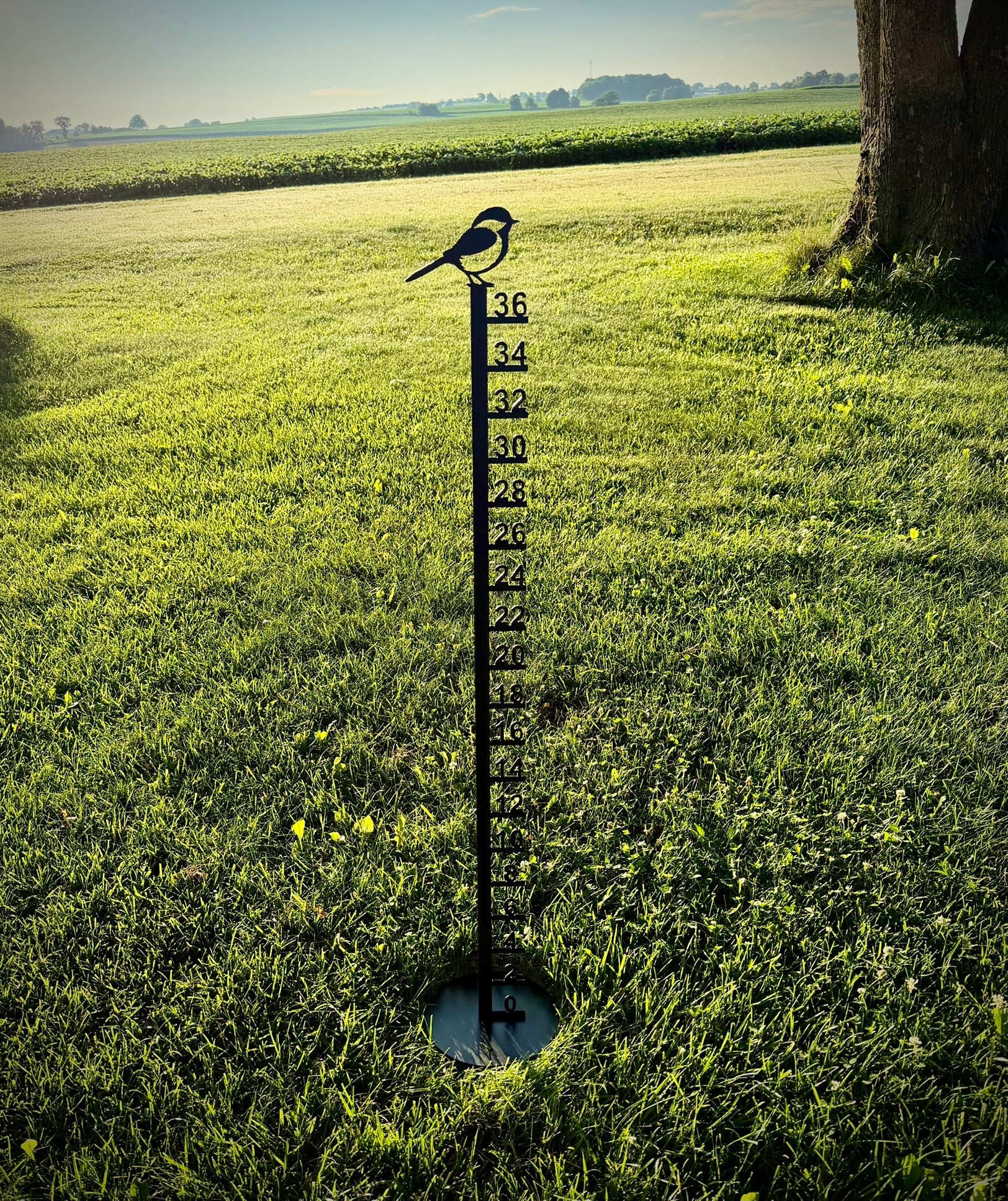 Large Metal Free Standing Patio Snow Gauge - Chickadee - Multiple Sizes - 36-inch Snow Gauge - bird snow gauge - Northern Forge, LLC