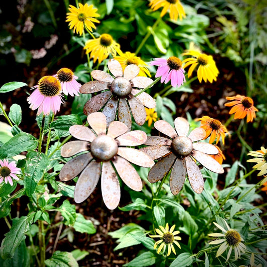 Metal Coneflowers | Yard Art - black eyed susan yard art - black - eyed susan flowers - Northern Forge, LLC
