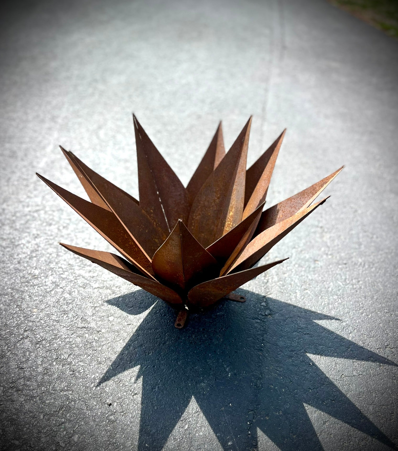 Steel Agave Plant - garden - garden art - Northern Forge, LLC