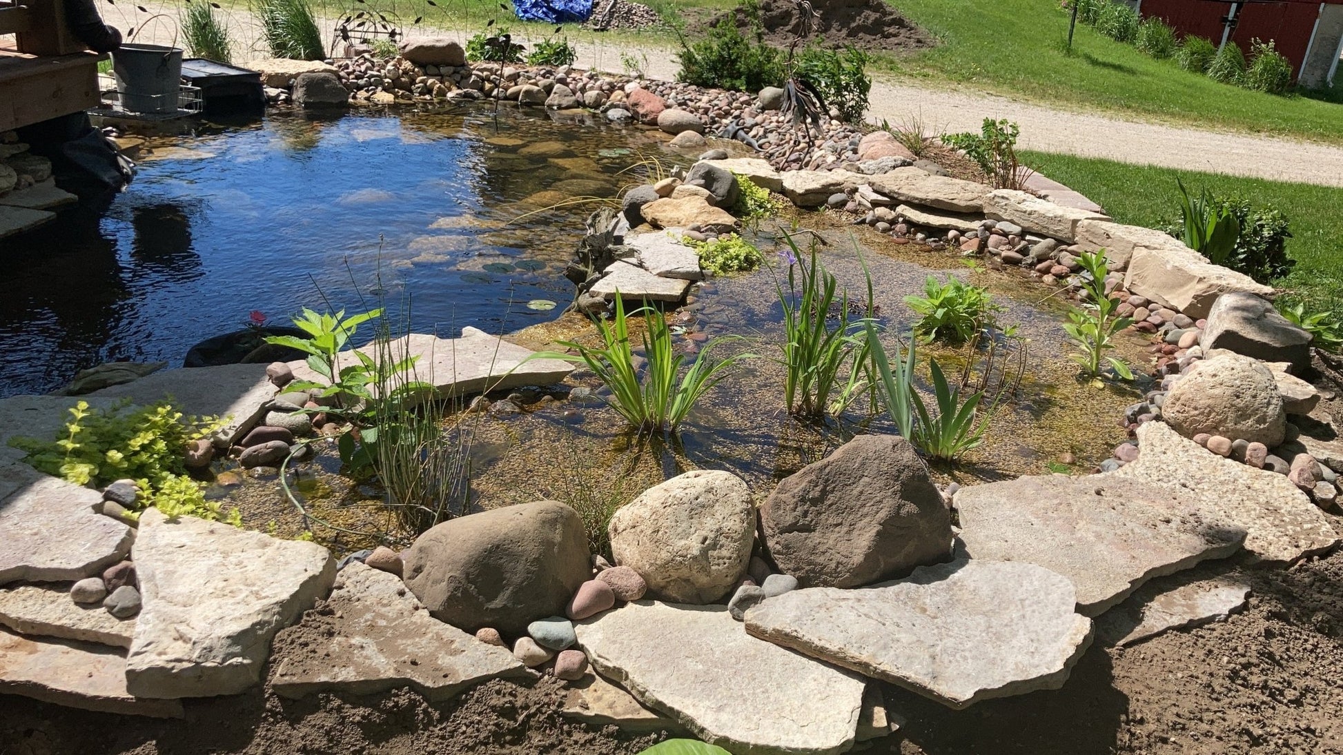 Step - by - Step Approach in Creating Your Own Koi Pond with All - Natural Bog Filtration, Goldfish, Water Garden, Backyard Pond - DIY - PDF - bog filter instructions - Build Plans - Northern Forge, LLC
