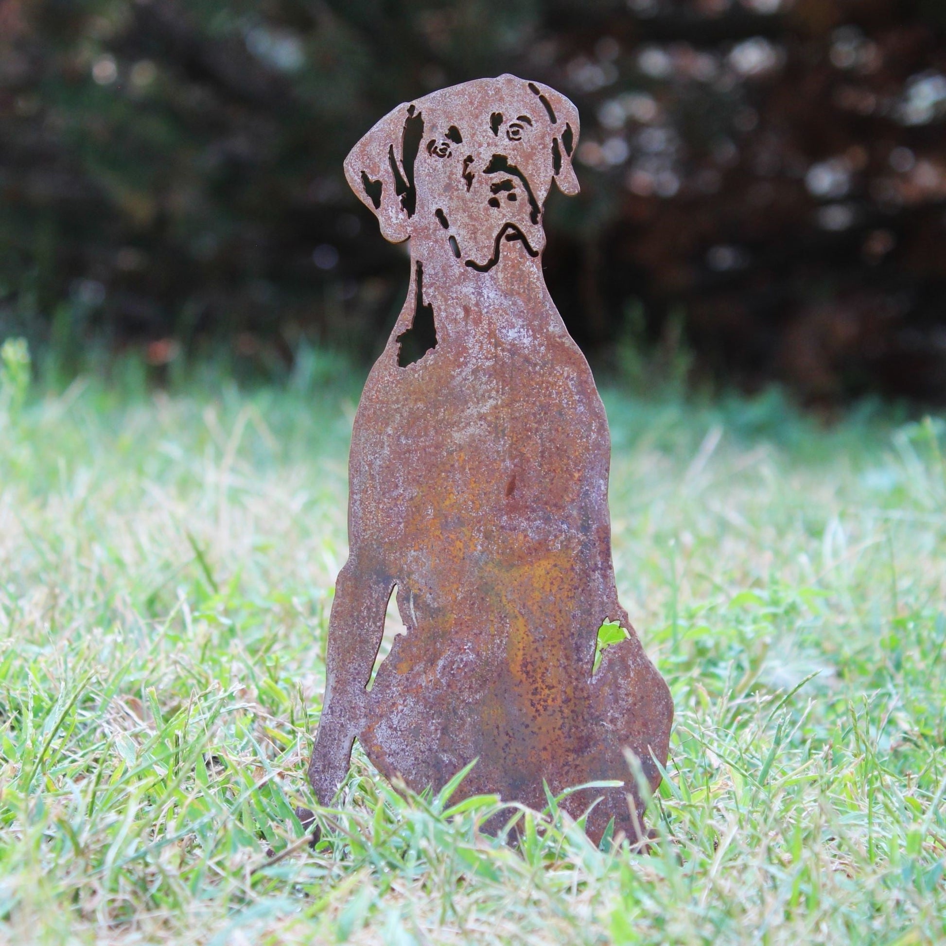 Weimaraner Metal Art – Handcrafted Dog Décor - My Metal Rescue - Shopify Collective - Northern Forge, LLC