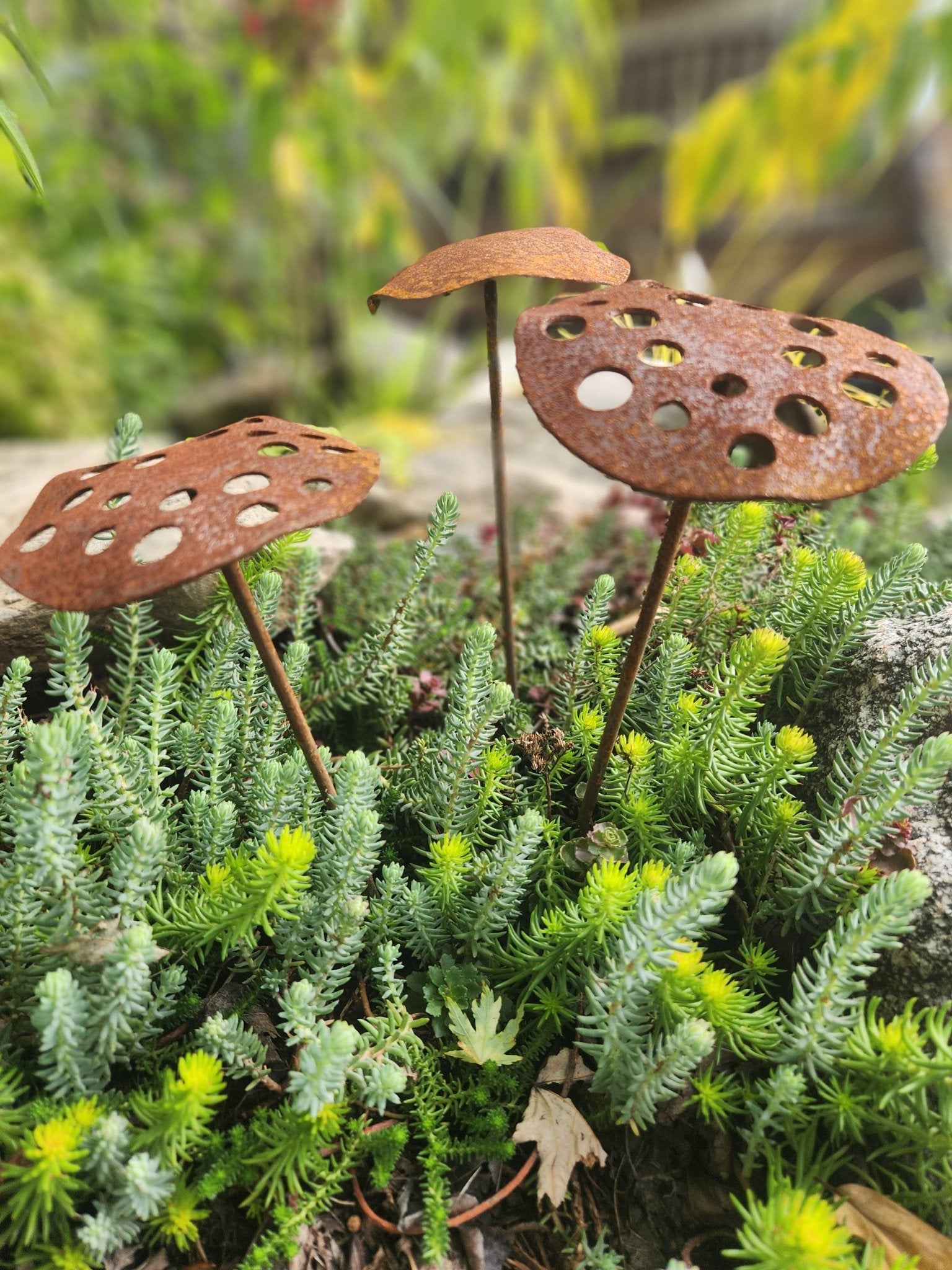 3-Pack Rusty Metal Lotus Seed Pods - garden - home - Northern Forge, LLC