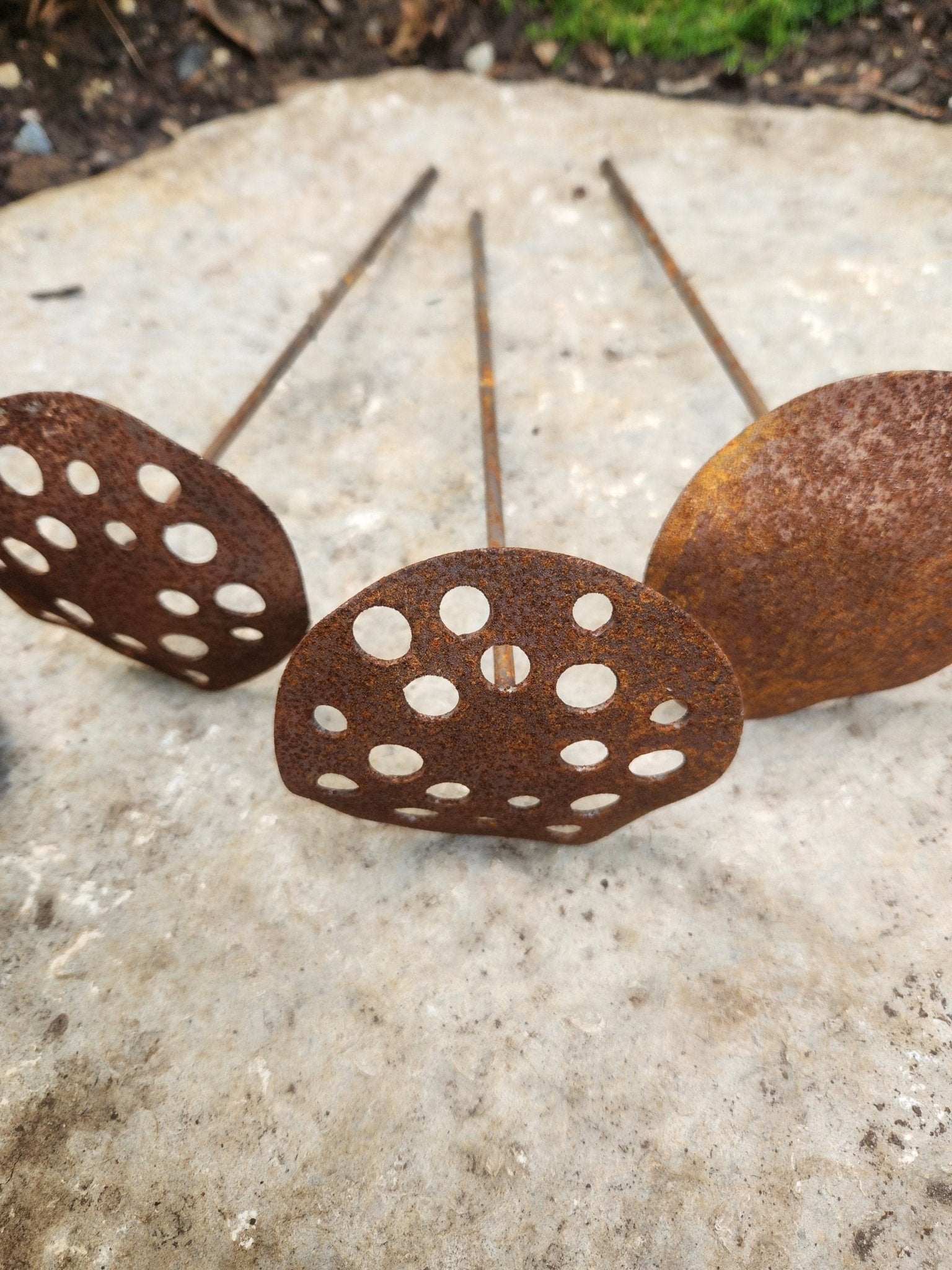 3-Pack Rusty Metal Lotus Seed Pods - garden - home - Northern Forge, LLC