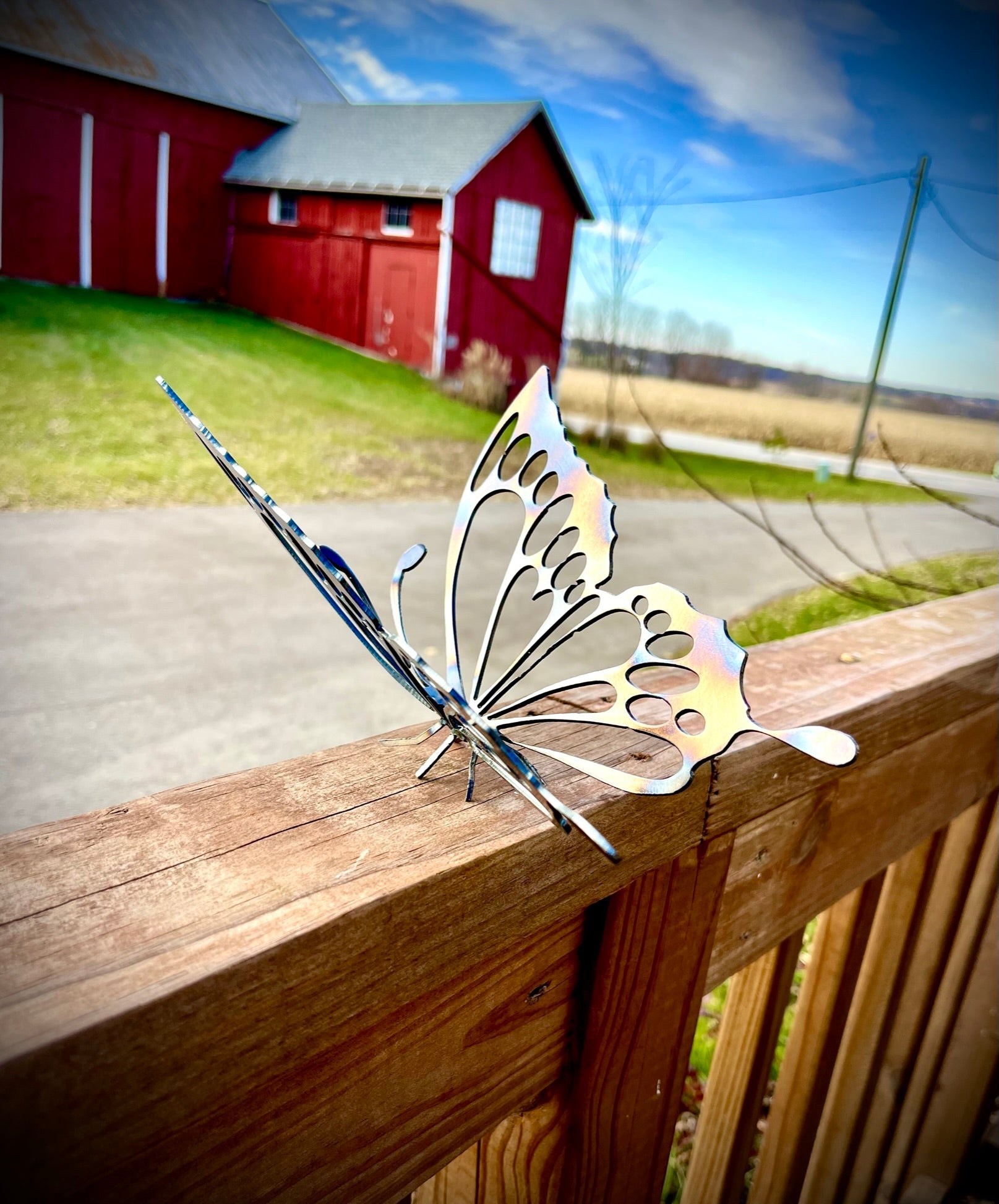 Flame Painted Steel Butterfly - butterfly - butterfly yard art - Northern Forge, LLC